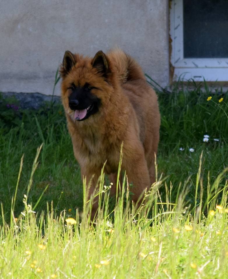 Gal'darah vom malefinkbachtal